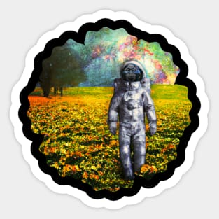 space chimp Sticker